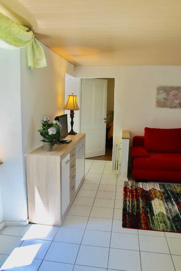 Appartement Casa Ortensia à Gambarogno Extérieur photo